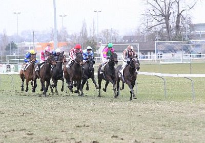 rIMG 7186 400x266.jpg