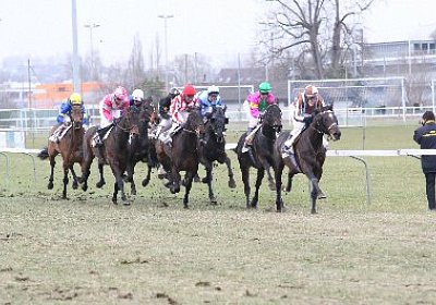 rIMG 7188 400x266.jpg