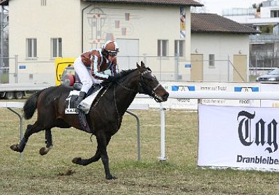 rIMG 7192 400x266.jpg