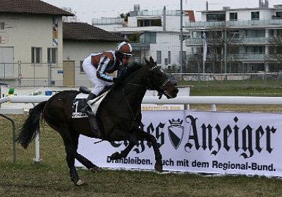 rIMG 7193 400x266.jpg