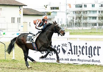 rIMG 7193h 400x266.jpg