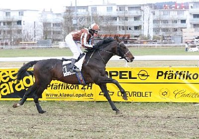 rIMG 7194 400x266.jpg