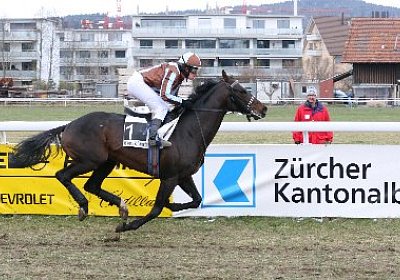 rIMG 7195 400x266.jpg