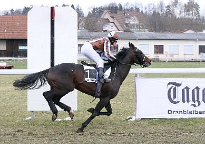 rIMG 7197 400x266.jpg