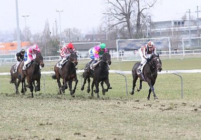 rIMG 7198 400x266.jpg