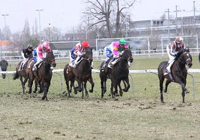 rIMG 7200 400x266.jpg