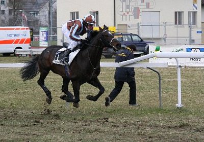 rIMG 7201 400x266.jpg