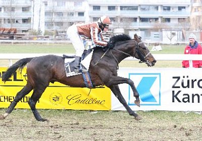 rIMG 7202 400x266.jpg