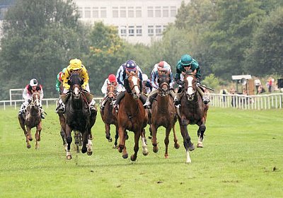 IMG 5561 600x400.jpg