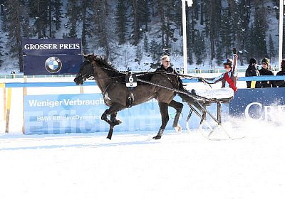 IMG 4012 600x400.jpg