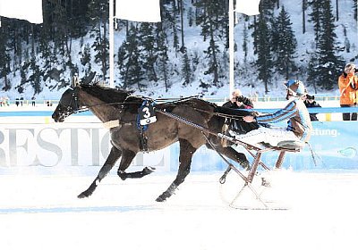 IMG 4019 600x400.jpg