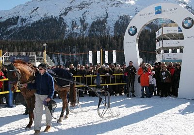 IMG 0101 600x400.jpg