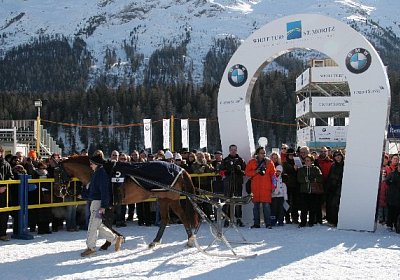 IMG 0102 600x400.jpg