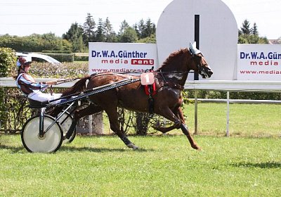 IMG 8410 600x400.jpg