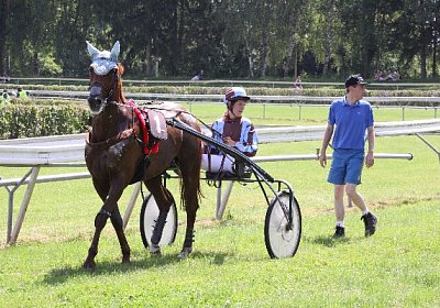 IMG 8428 600x400.jpg