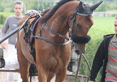 IMG 0180 600x400