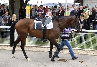 IMG 0185 600x400