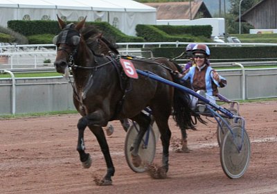 Quicksom Koller C 5 [800x600]