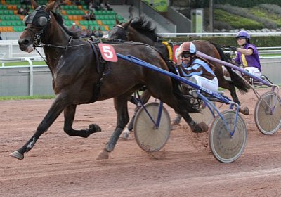 Quicksom Koller C 6 [800x600]