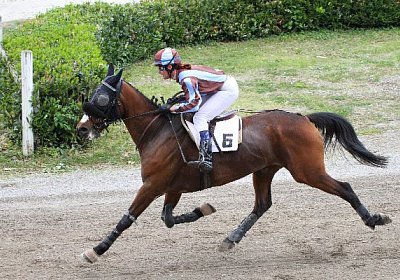 cm prince IMG 0267 600x400