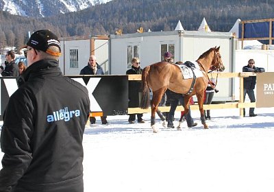 IMG 0106 600x400