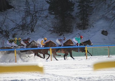 IMG 0126 600x400