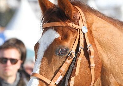 IMG 0212 600x400