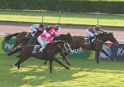 rip 2La Bamba Friberg 2 [800x6...