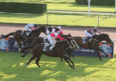 rip 4La Bamba Friberg4 [800x60...