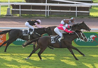 rip 5La Bamba Friberg6 [800x60...