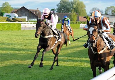 uw 05 02 la bamba azzarra [800...