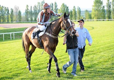 uw la bamba 4764 [800x600]