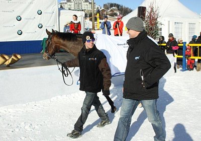 IMG 4664