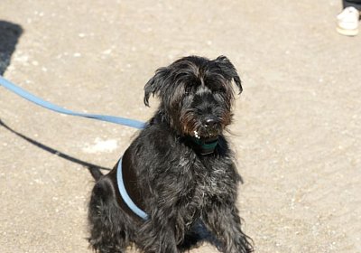 Belgino etc Avenches 8april14 DSC03876