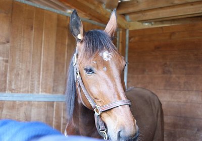 Belgino etc Avenches 8april14 DSC03885