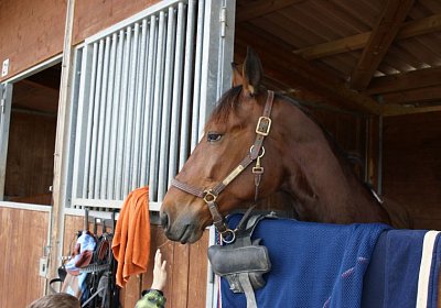 Belgino etc Avenches 8april14 DSC03896