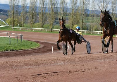 Belgino etc Avenches 8april14 DSC03932