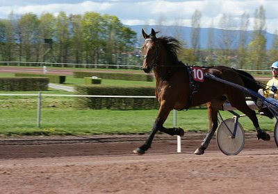 Belgino etc Avenches 8april14 DSC03933