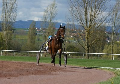 Belgino etc Avenches 8april14 DSC03941
