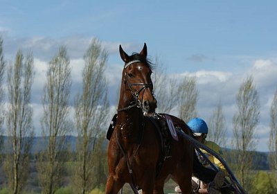 Belgino etc Avenches 8april14 DSC03945