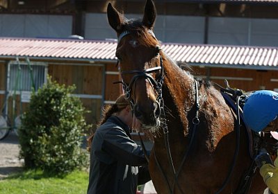 Belgino etc Avenches 8april14 DSC03953
