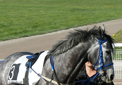 Remedial Sieg 14April14 DSC04388