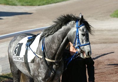 Remedial Sieg 14April14 DSC04392