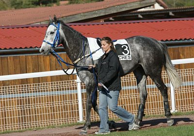 Remedial Sieg 14April14 DSC04400