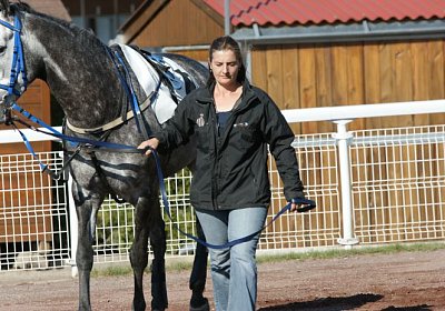 Remedial Sieg 14April14 DSC04401