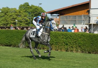 Remedial Sieg 14April14 DSC04418