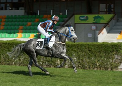 Remedial Sieg 14April14 DSC04419