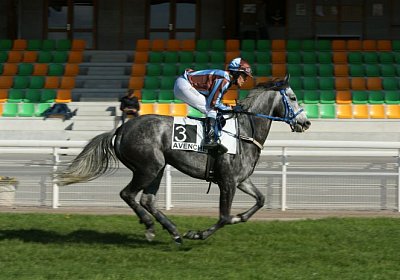 Remedial Sieg 14April14 DSC04420