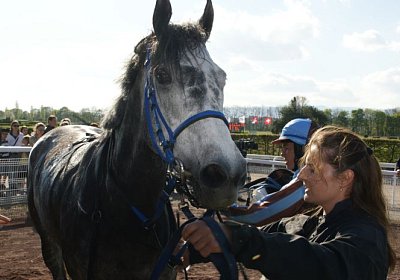 Remedial Sieg 14April14 DSC04449