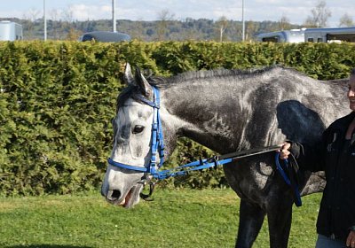 Remedial Sieg 14April14 DSC04462